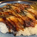 Unagi Donburi