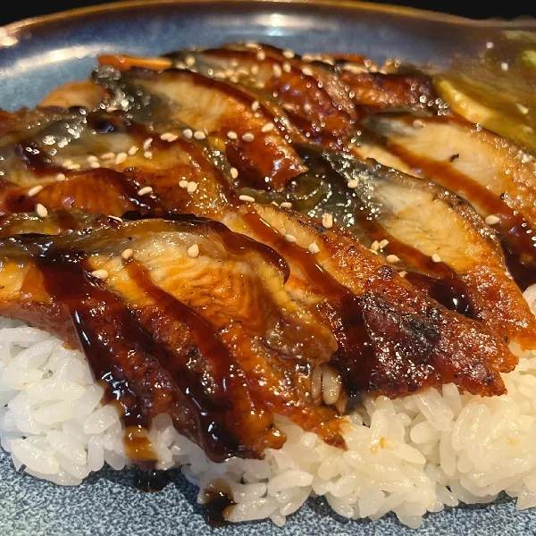 Unagi Donburi
